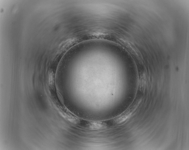 X0000089700623200706211320