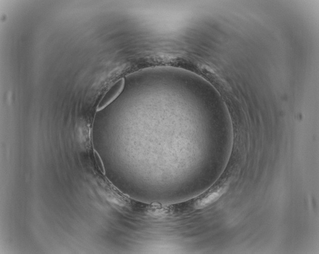 X0000089700624200706211320