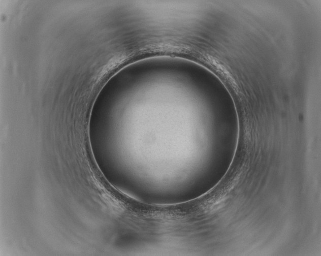 X0000089700625200706211319