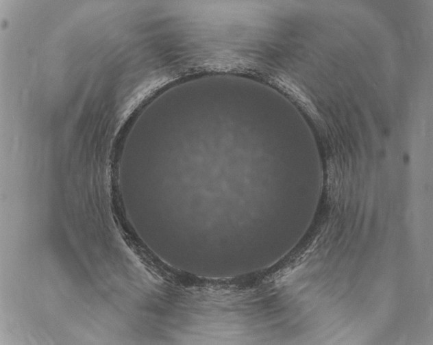 X0000089700626200706211319