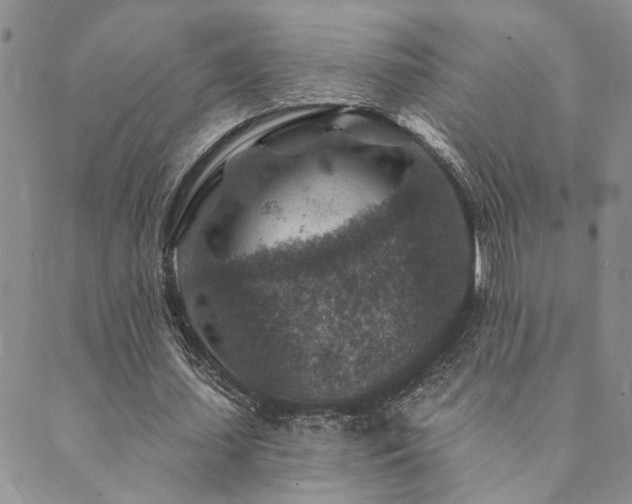 X0000089700627200706211319