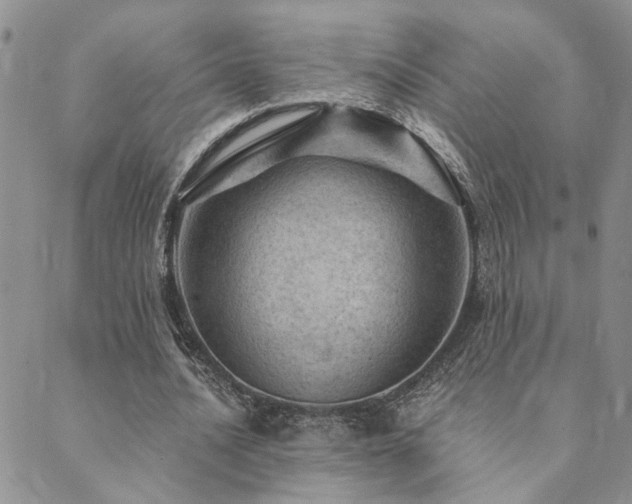 X0000089700628200706211319