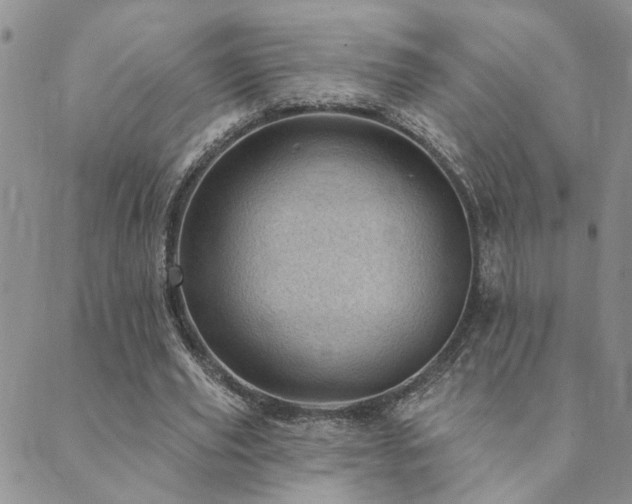 X0000089700629200706211319