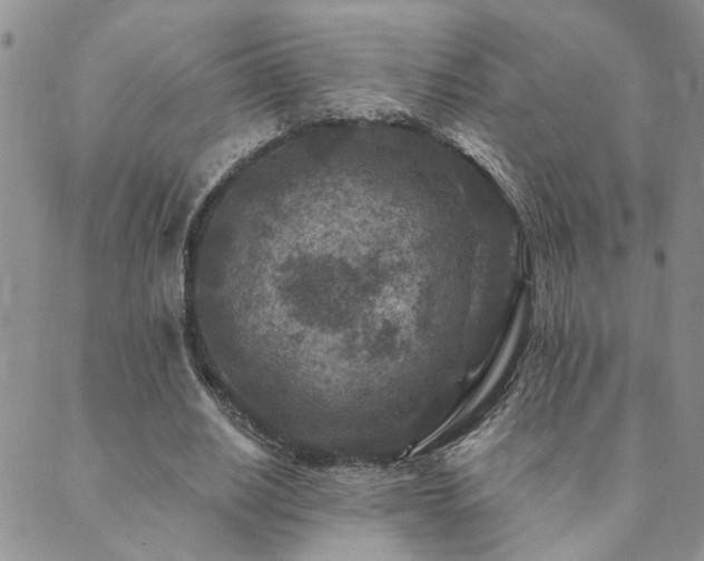 X0000089700630200706211319