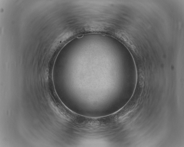 X0000089700631200706211319