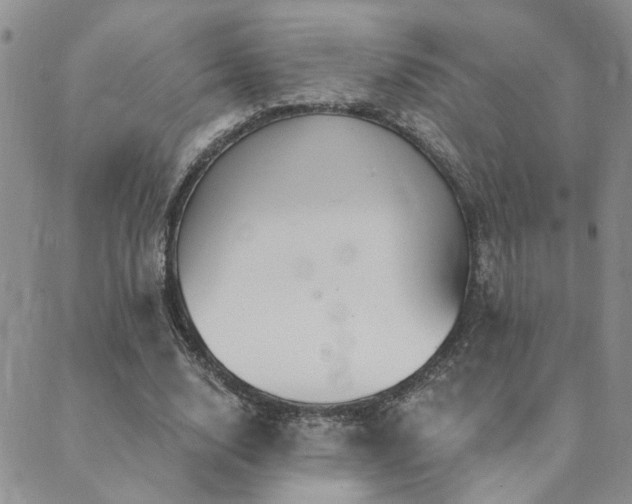 X0000089700632200706211319