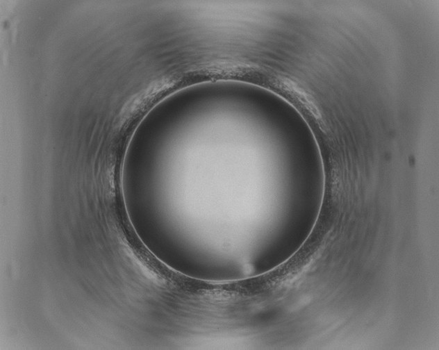 X0000089700633200706211319