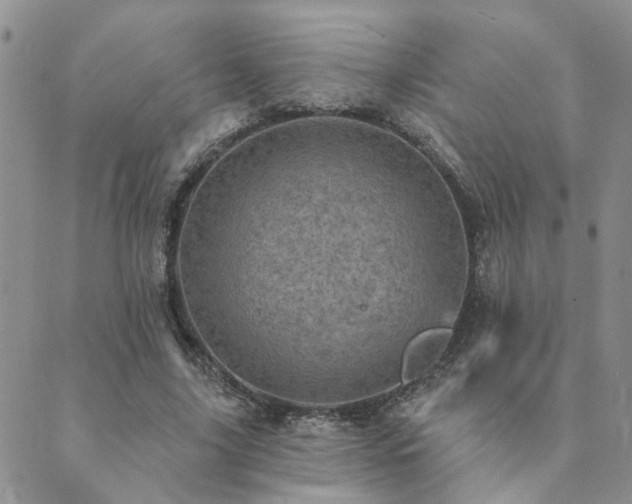 X0000089700635200706211319