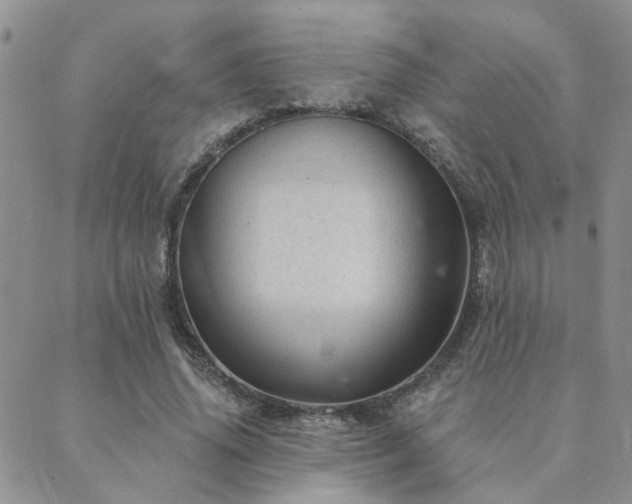 X0000089700636200706211319