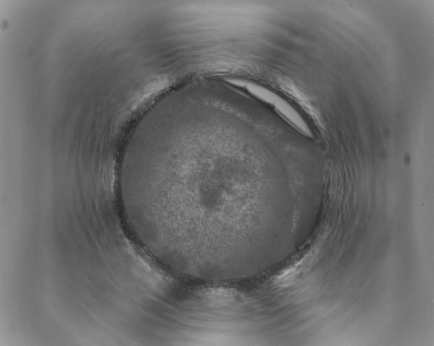 X0000089700637200706211319