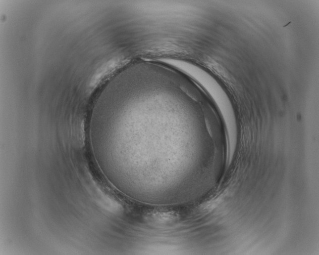 X0000089700638200706211319