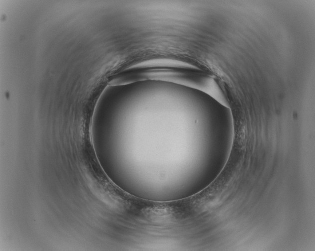 X0000089700639200706211319