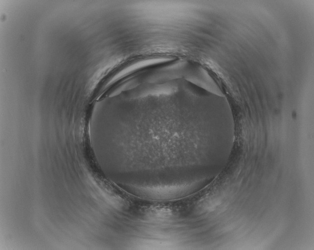 X0000089700640200706211319