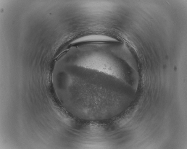 X0000089700641200706211319