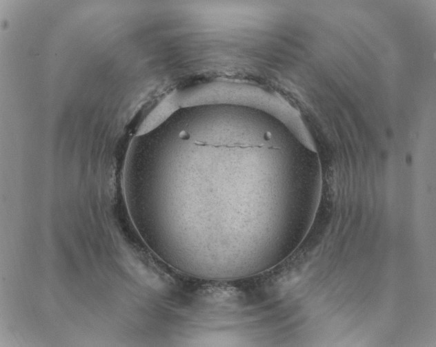 X0000089700642200706211319