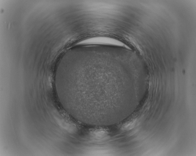 X0000089700643200706211319