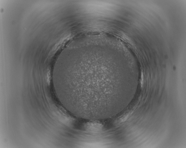 X0000089700644200706211319