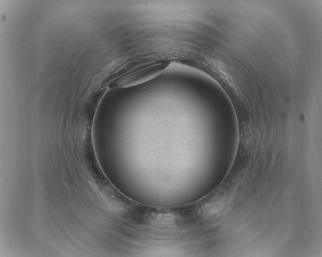 X0000089700645200706211319