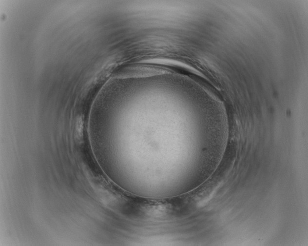 X0000089700646200706211319