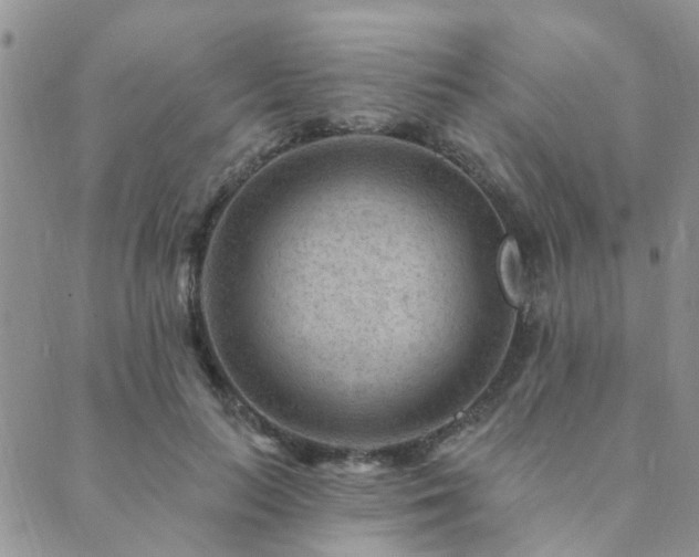 X0000089700647200706211319