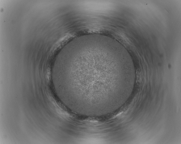 X0000089700648200706211319