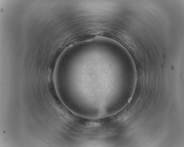 X0000089700649200706211319