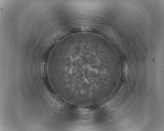 X0000089700650200706211319