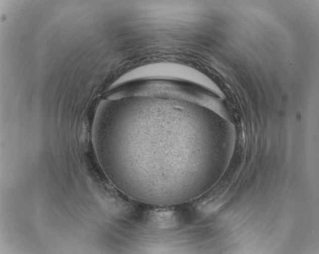 X0000089700651200706211319