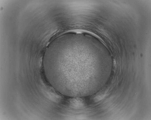 X0000089700652200706211319