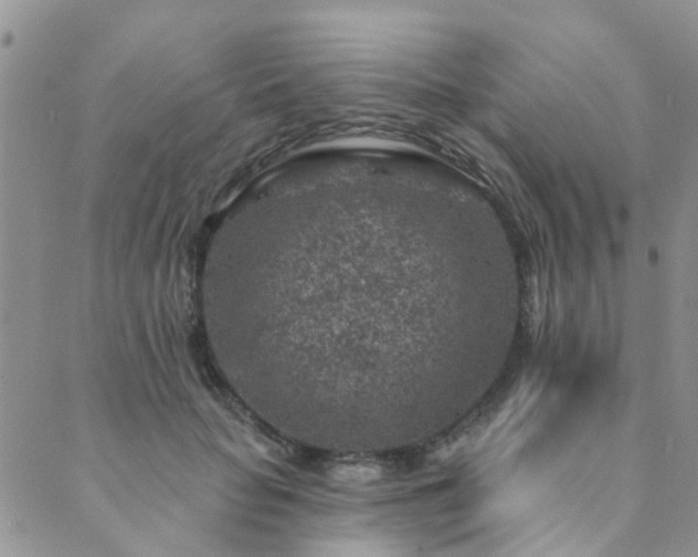 X0000089700653200706211319