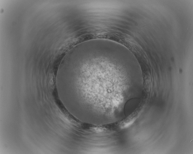 X0000089700654200706211319