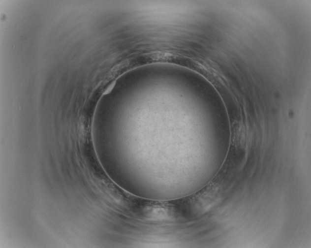 X0000089700655200706211319