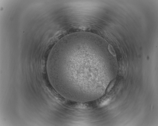 X0000089700656200706211319