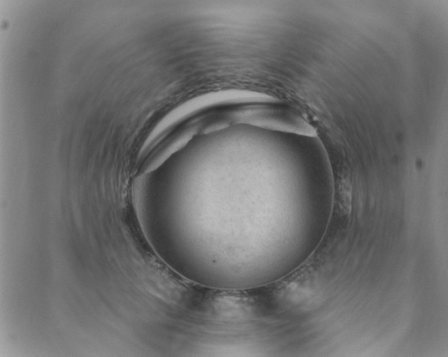 X0000089700657200706211319