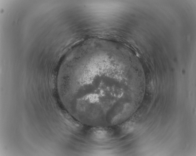 X0000089700658200706211319