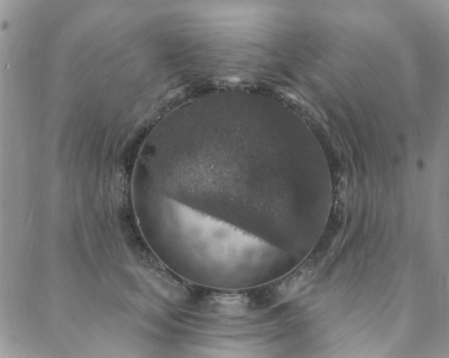 X0000089700659200706211319