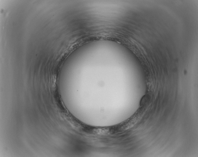 X0000089700660200706211319