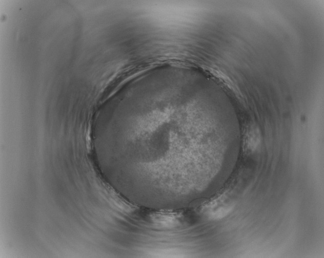 X0000089700661200706211319