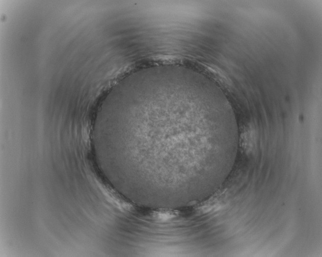 X0000089700662200706211319