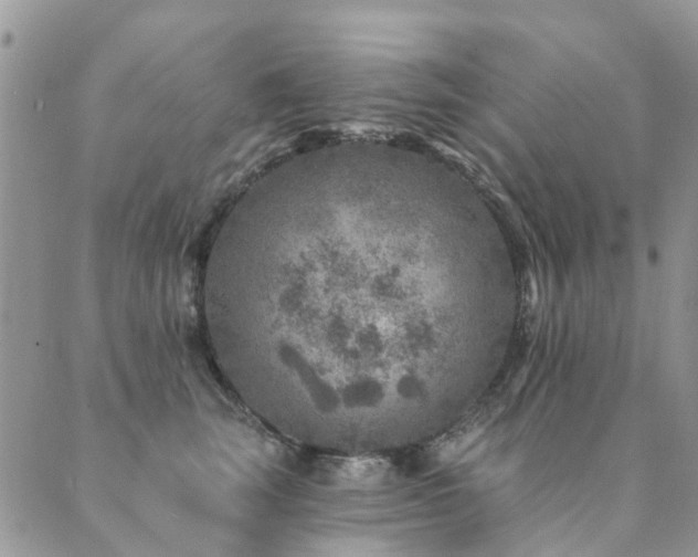 X0000089700663200706211319