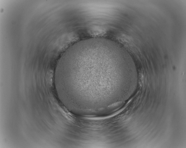 X0000089700664200706211319