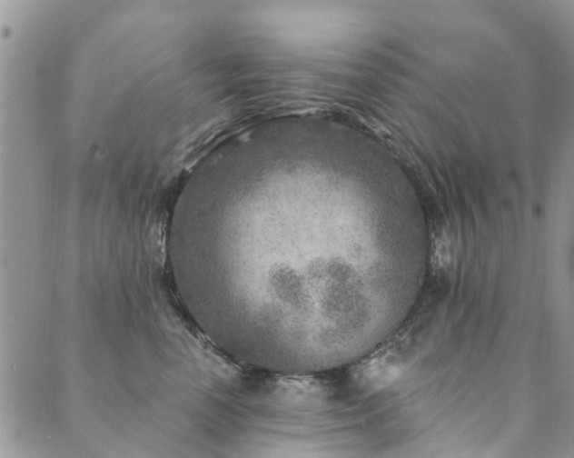 X0000089700666200706211319