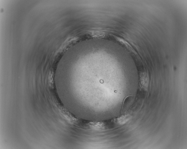 X0000089700667200706211319