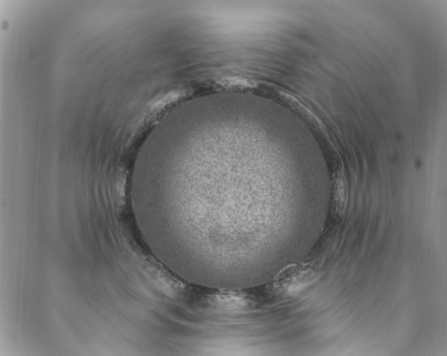 X0000089700668200706211319