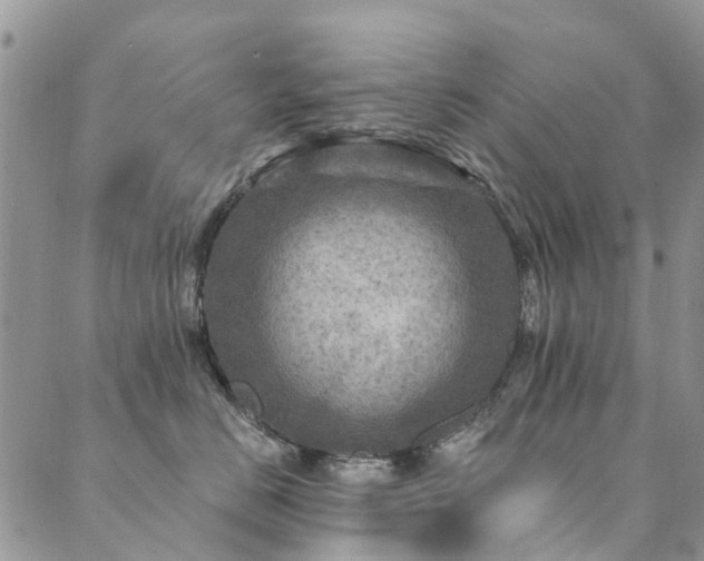 X0000089700670200706211319