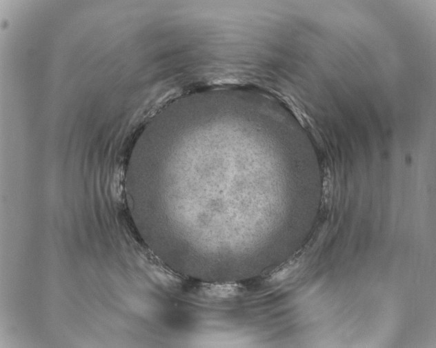 X0000089700671200706211319