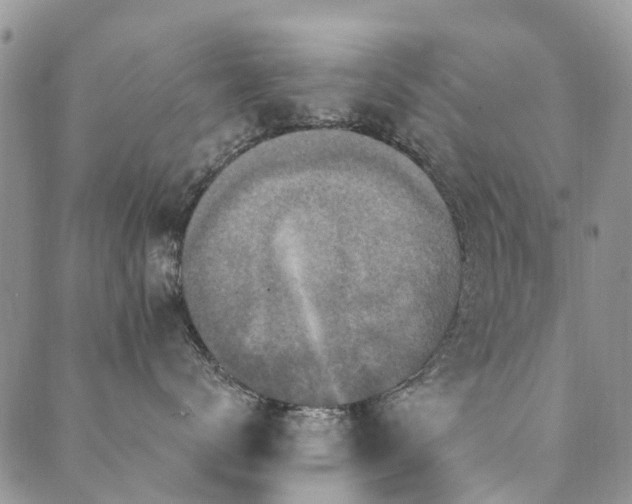 X0000089700672200706211320