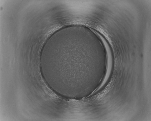 X0000089700673200706211319