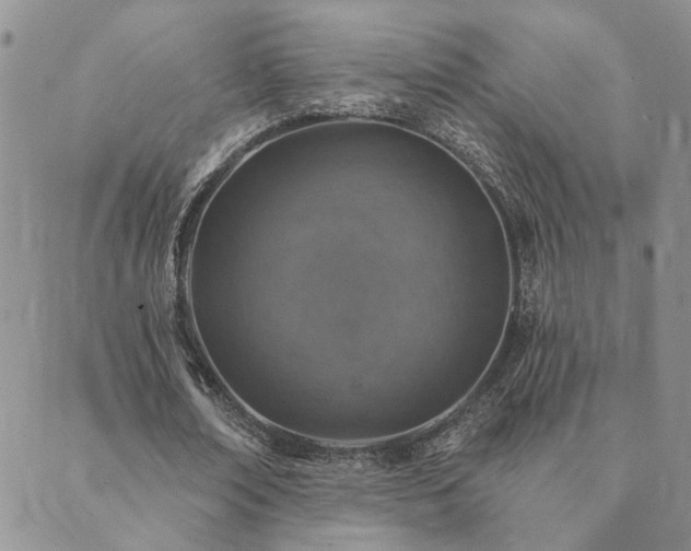 X0000089700674200706211319