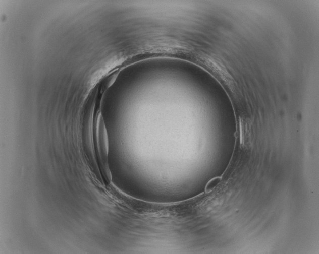 X0000089700675200706211319